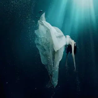 For the Broken cover art